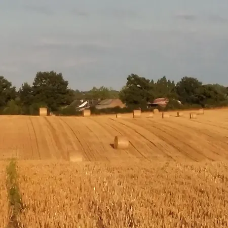 Maison Familiale Avec Piscine, Grand Jardin Clos Et Equipements De Loisirs - Fr-1-306-898 בית נופש Bonnoeuvre