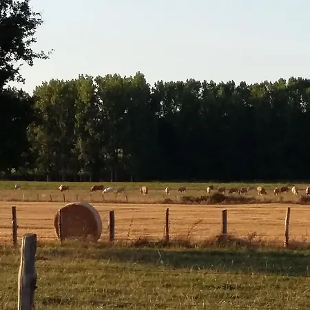 Maison Familiale Avec Piscine, Grand Jardin Clos Et Equipements De Loisirs - Fr-1-306-898 Bonnoeuvre