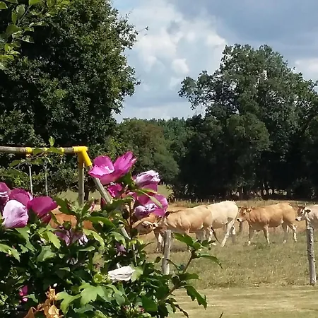 Maison Familiale Avec Piscine, Grand Jardin Clos Et Equipements De Loisirs - Fr-1-306-898 Bonnoeuvre