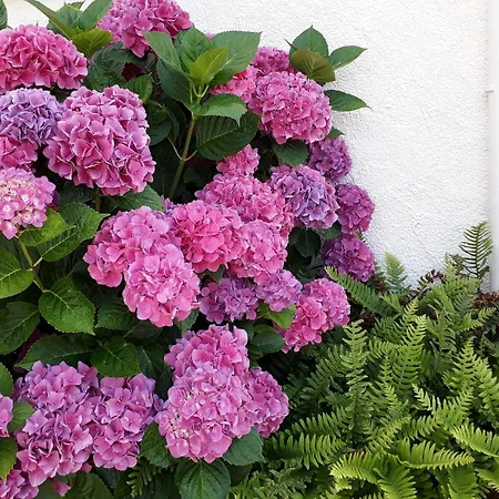 Semesterbostad Maison Familiale Avec Piscine, Grand Jardin Clos Et Equipements De Loisirs - Fr-1-306-898