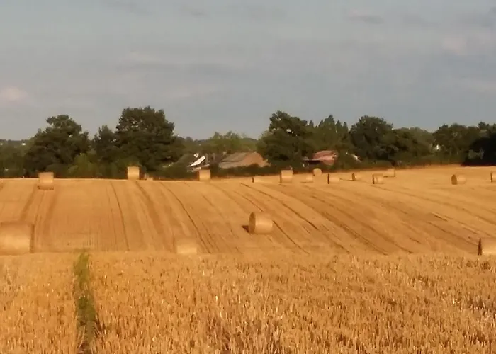 Maison Familiale Avec Piscine, Grand Jardin Clos Et Equipements De Loisirs - Fr-1-306-898 Дом отдыха Bonnoeuvre