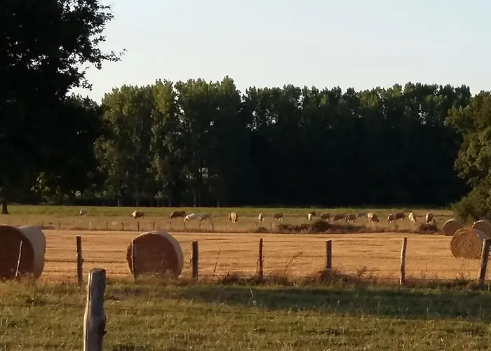 Maison Familiale Avec Piscine, Grand Jardin Clos Et Equipements De Loisirs - Fr-1-306-898 Bonnoeuvre