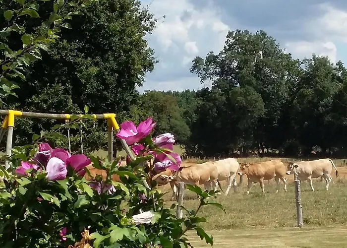 Maison Familiale Avec Piscine, Grand Jardin Clos Et Equipements De Loisirs - Fr-1-306-898 Bonnoeuvre