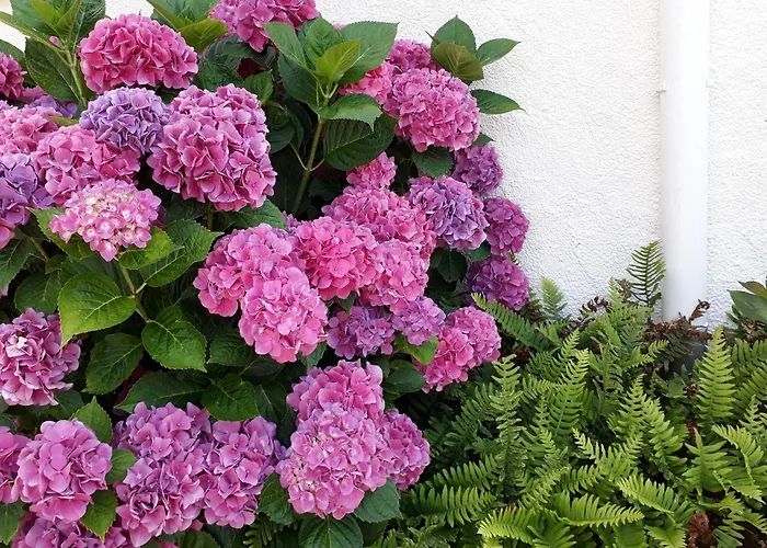 Дом отдыха Maison Familiale Avec Piscine, Grand Jardin Clos Et Equipements De Loisirs - Fr-1-306-898